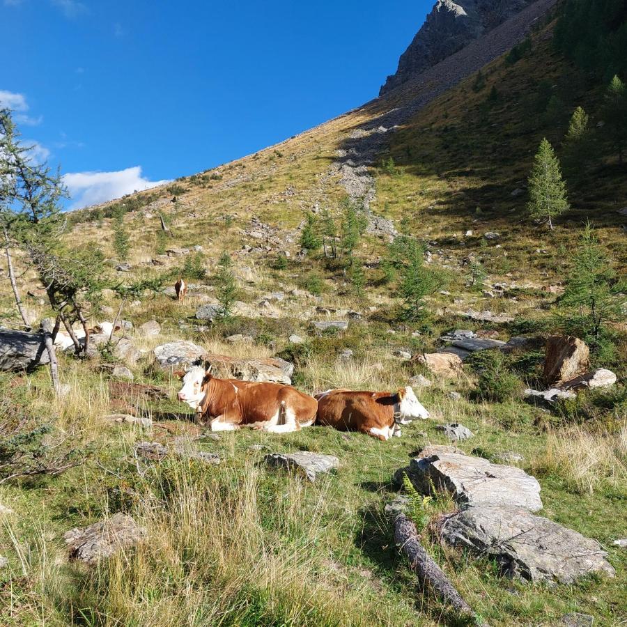 Ausserwalderhof Innervillgraten Eksteriør billede